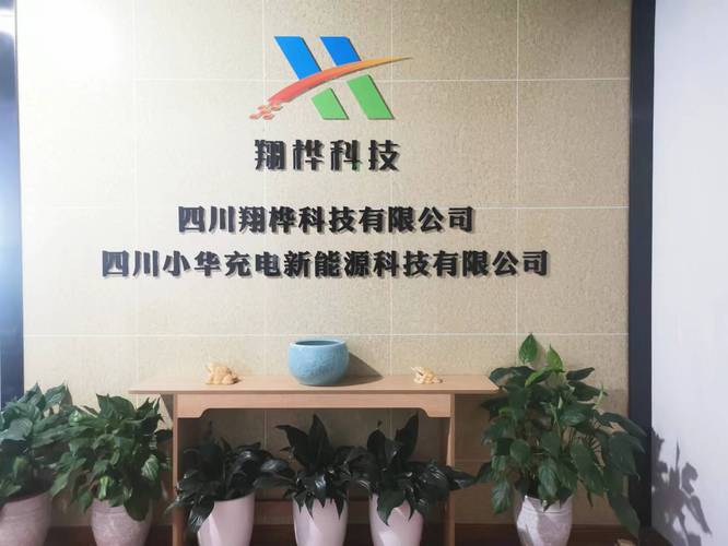 程建代表下的信息系统集成服务 数字化时代的核心引擎
